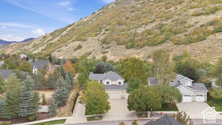 Mountainous backdrop with residential properties and mature trees