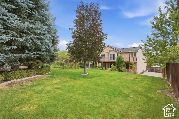 Expansive backyard featuring a manicured lawn, mature evergreen trees, and established deciduous trees