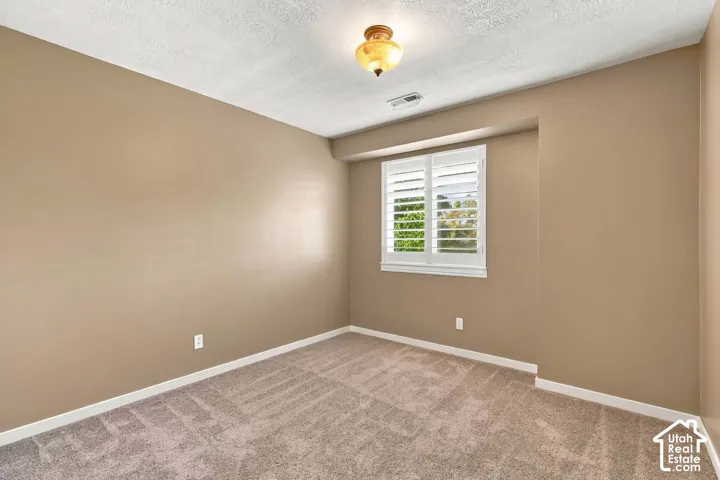 Neutral tone wall paint, textured ceiling, carpeted flooring, window with white plantation shutters, and a ceiling-mounted light fixture
