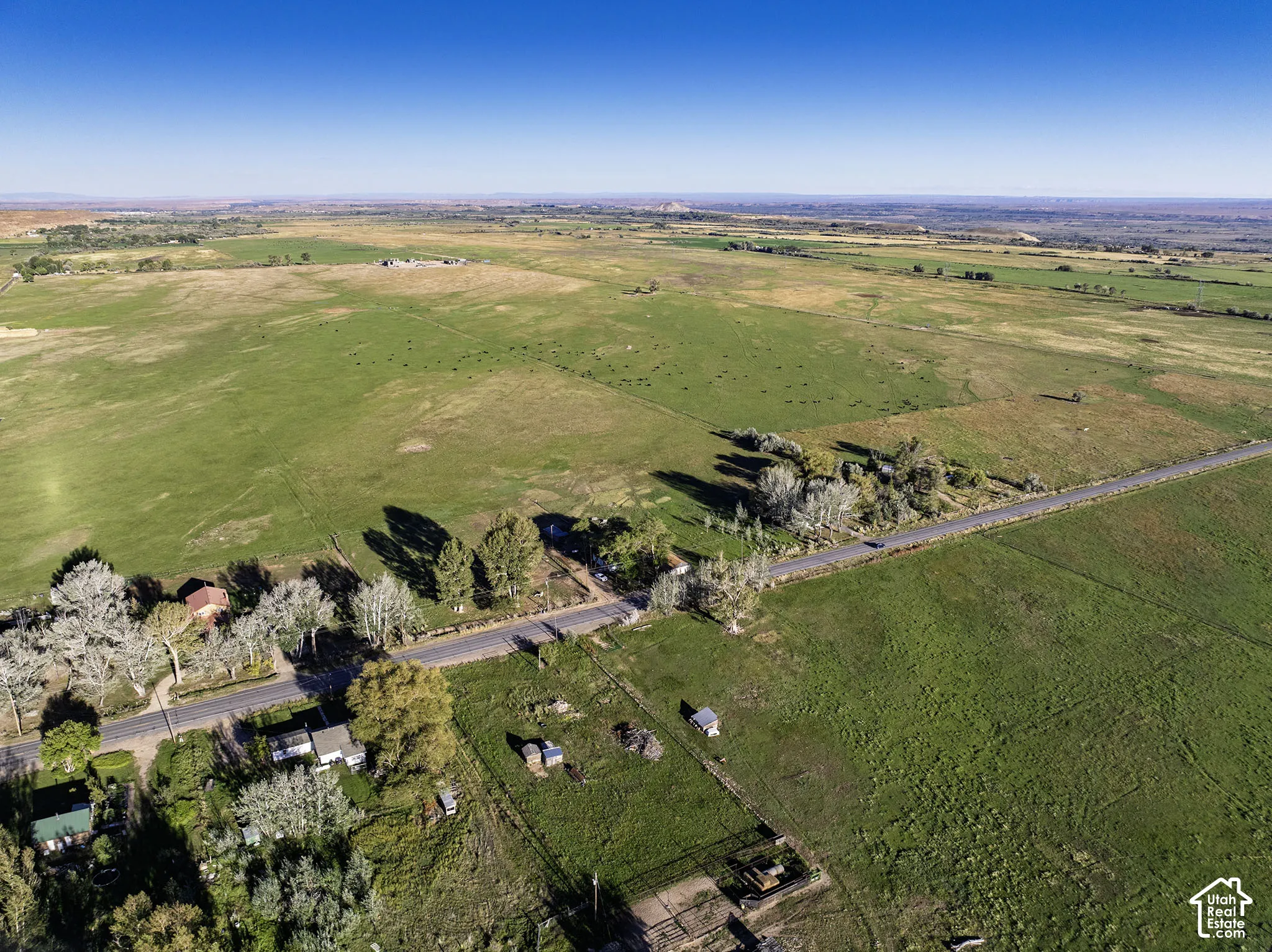 Expansive rural landscape featuring green fields, scattered trees, and distant natural terrain