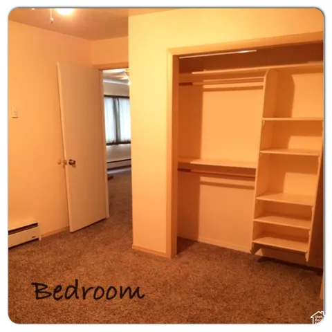 Carpeted flooring, built-in shelving, and closet hanging rods