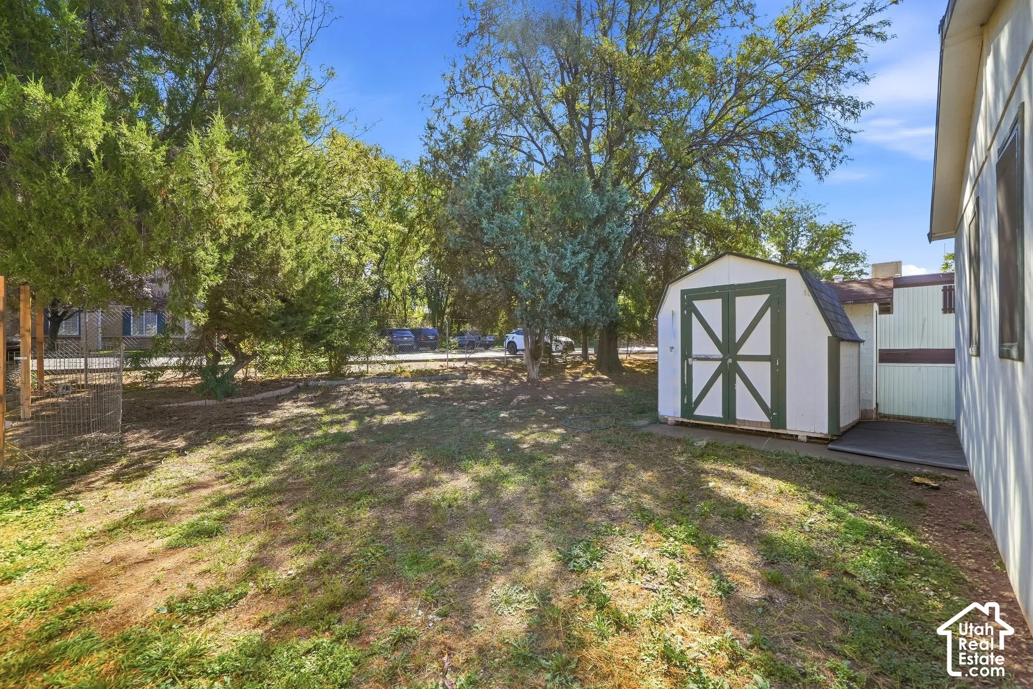 Grassed backyard featuring mature trees, wood fence with wire mesh, and a storage shed with white and green paneling