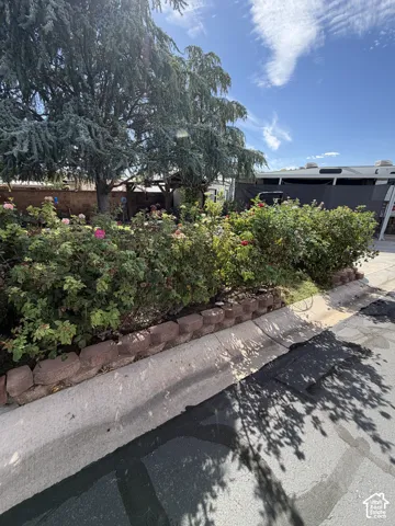Mature trees providing natural shade and a planting bed with blooming shrubs, bordered by decorative pavers