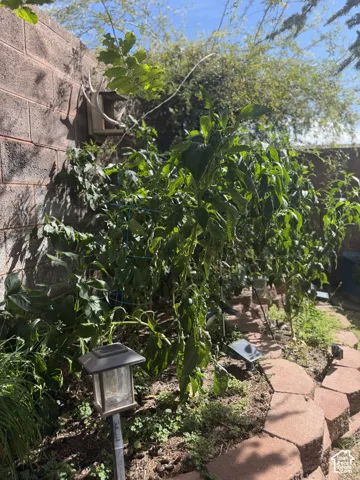 Raised garden bed with paver stone retaining wall