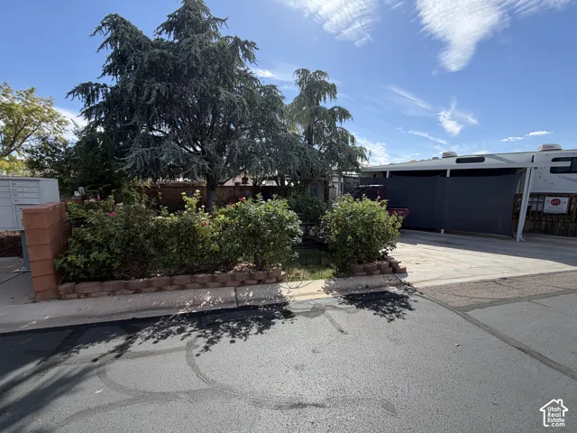 Mature trees and shrubbery framing the property entrance