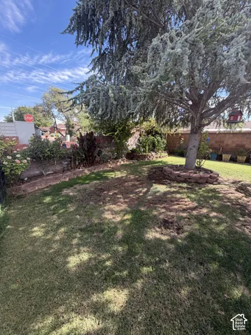 Expansive backyard featuring a mature tree, brick-lined planters, and a privacy wall