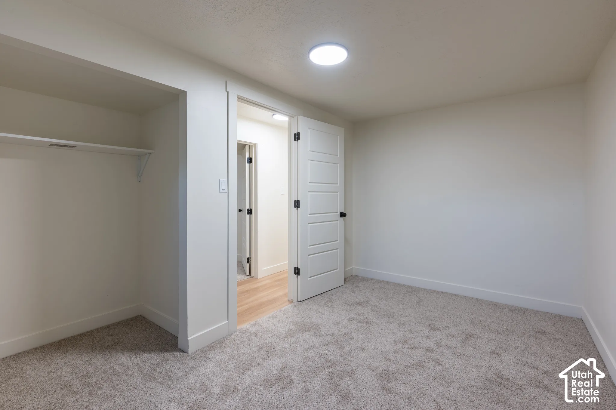 Wall-to-wall carpeting, built-in shelving, paneled interior door, and ceiling-mounted light fixture
