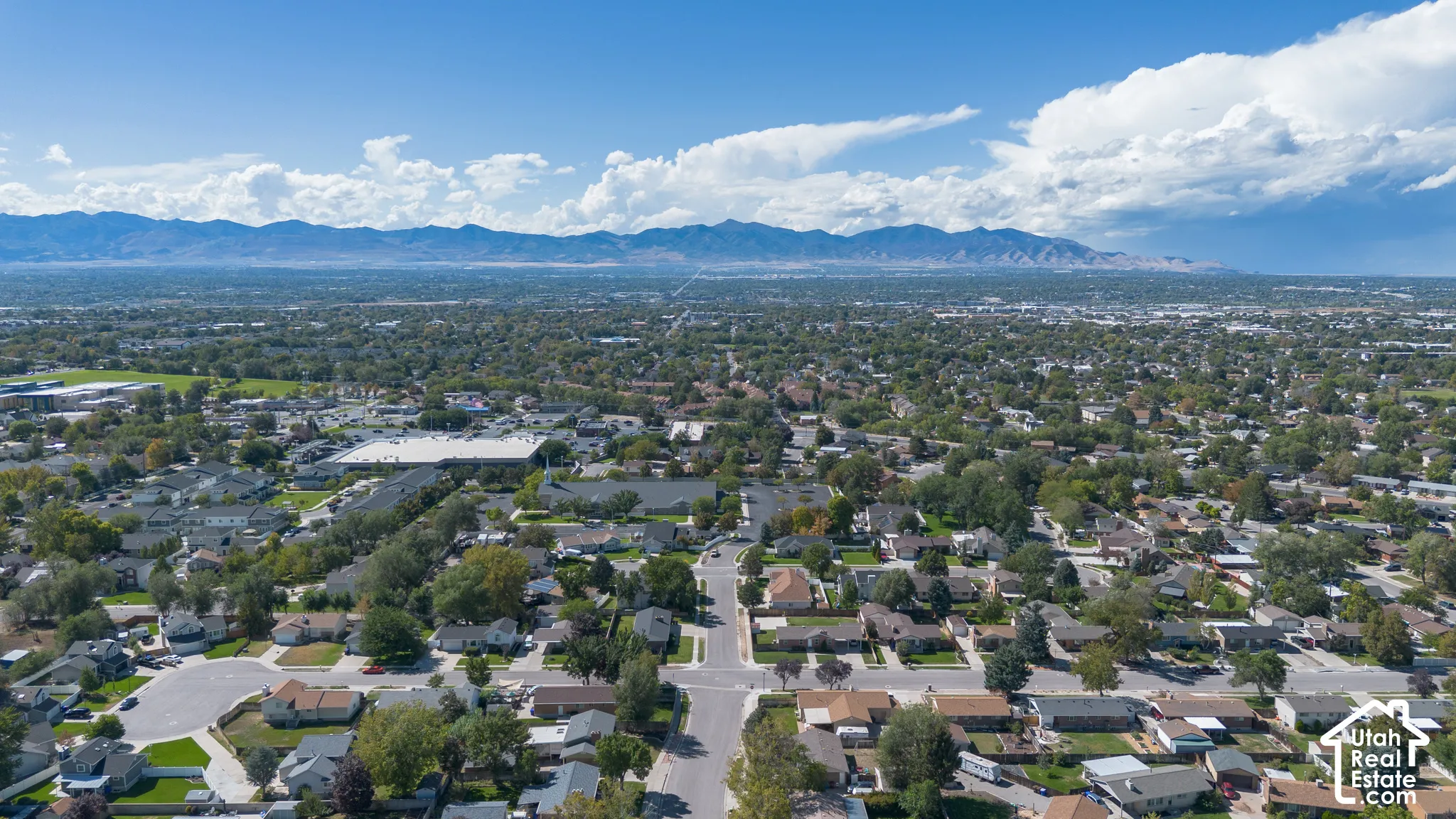 Expansive neighborhood with mature tree coverage and established residential properties