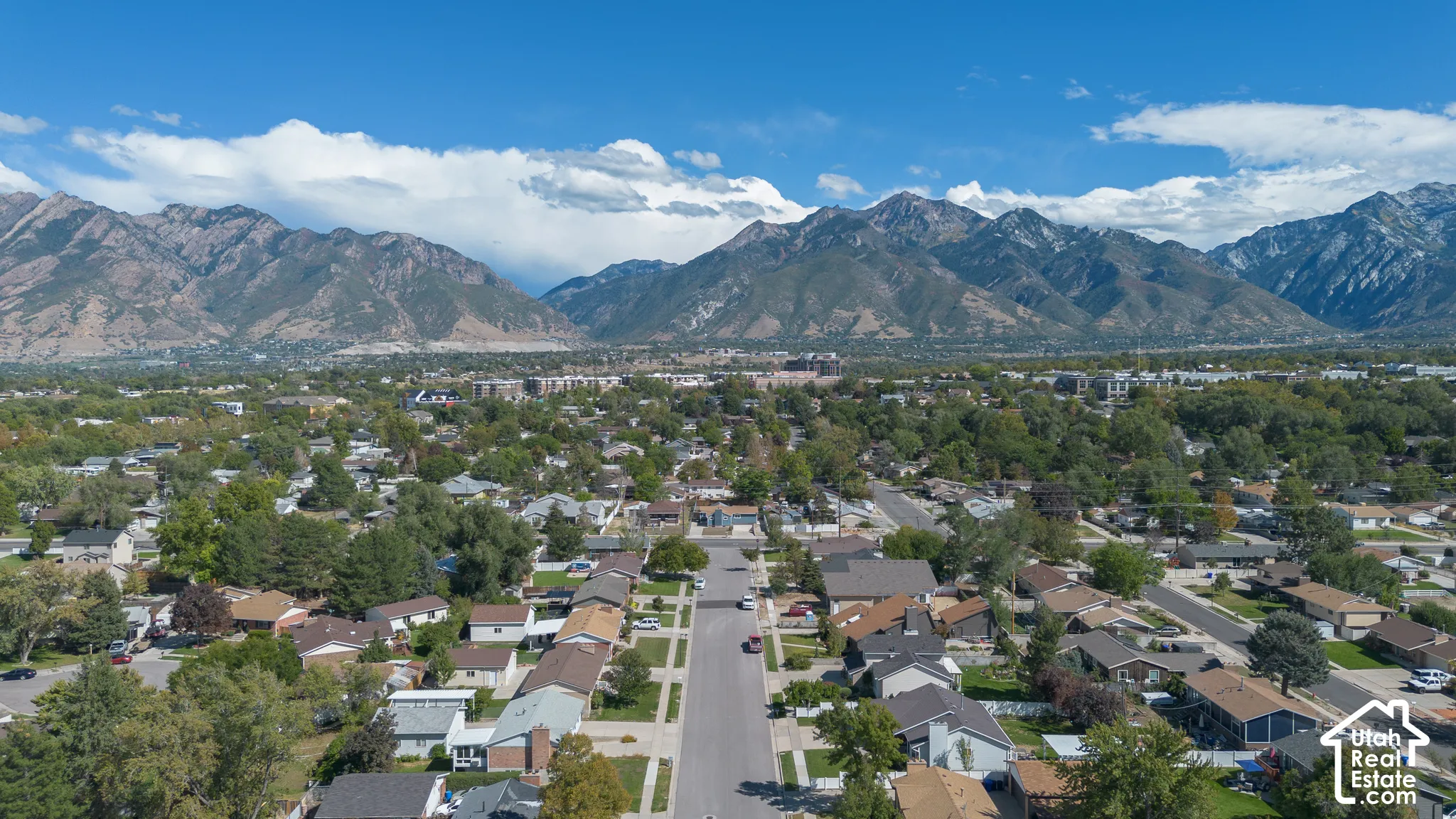 Residential neighborhood with mature trees, established properties, and distant mountain backdrop