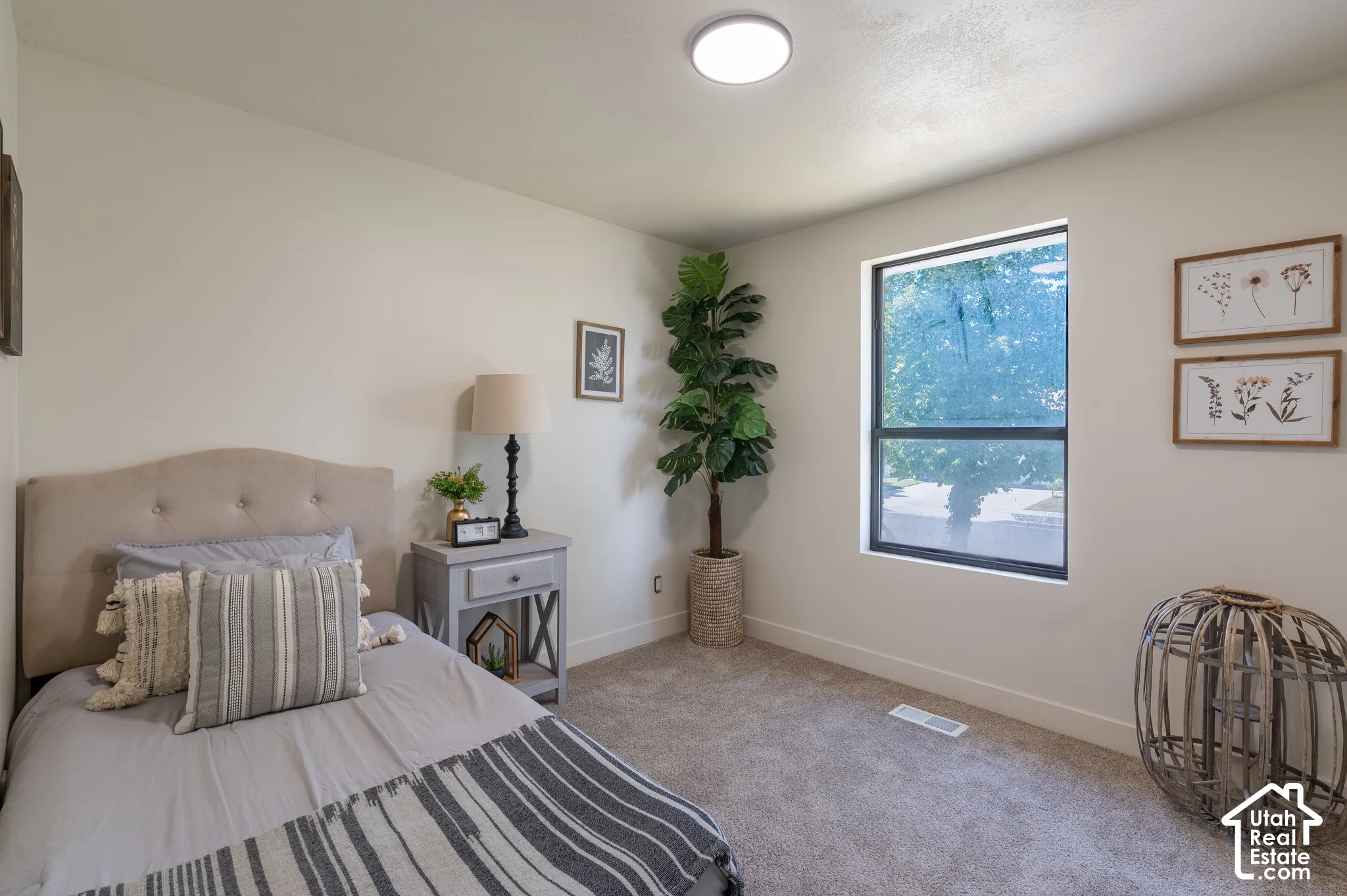 Neutral wall paint with carpet flooring