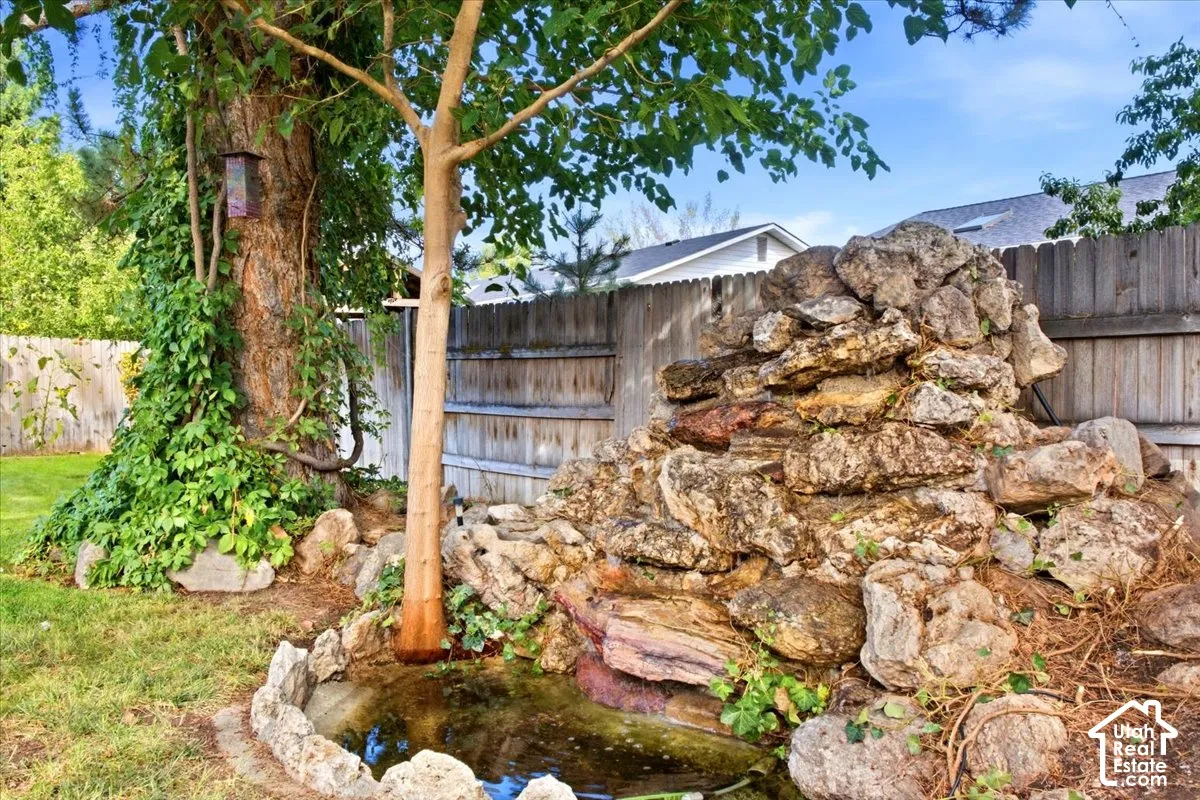 Rock water feature with a stone-lined pond, mature tree with climbing ivy, and a wooden privacy fence