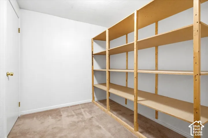 Built-in shelving with multiple levels, carpeted flooring, and a white interior door with brass hardware