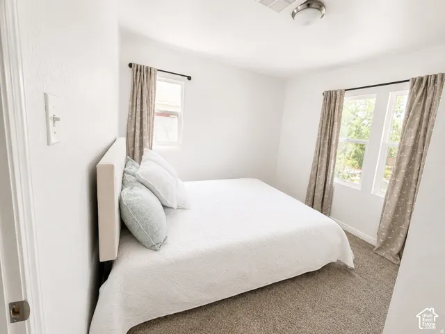 Light-colored carpeting, white painted walls, two windows, and a flush mount ceiling light fixture