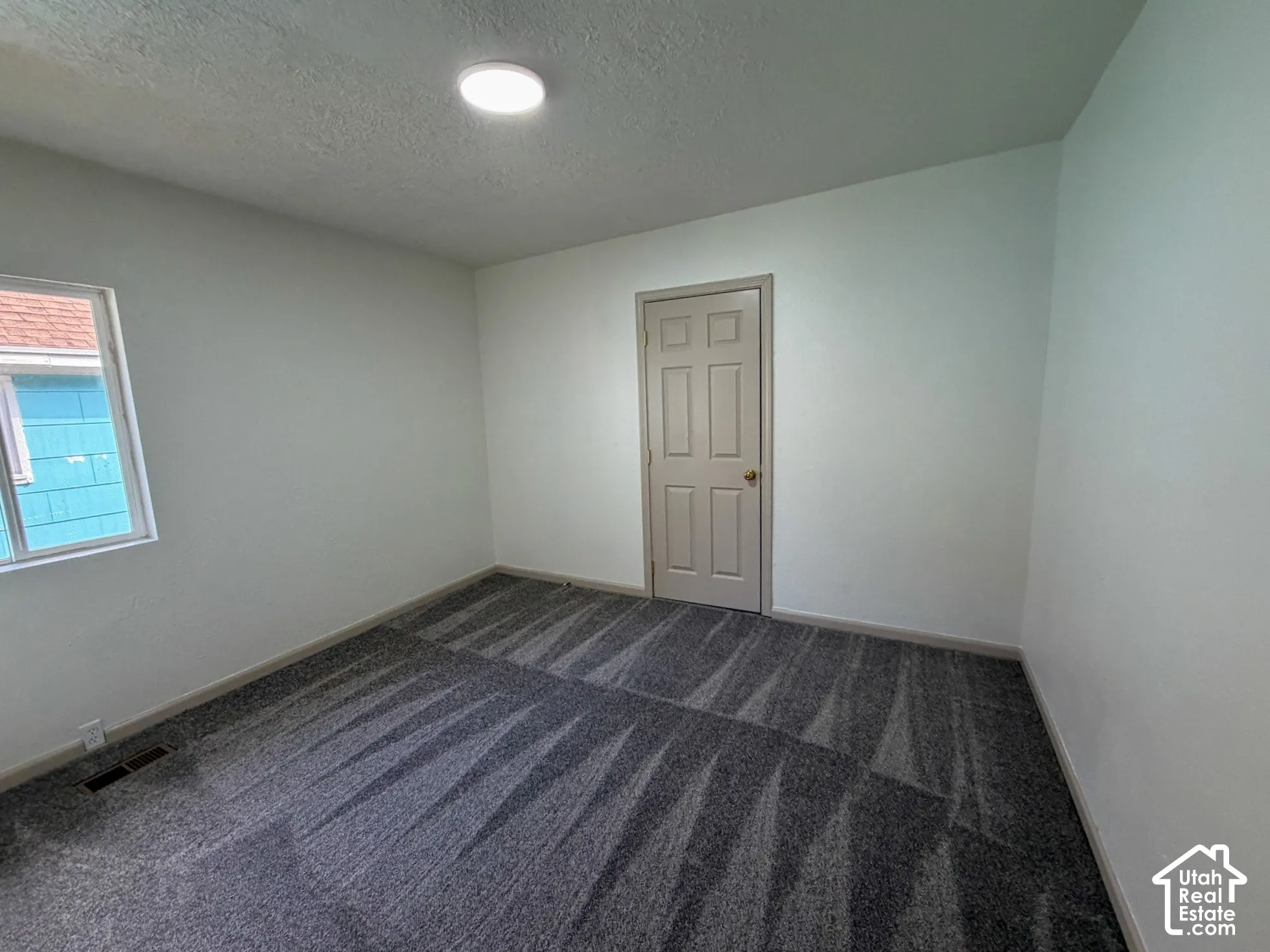 Neutral wall paint, patterned carpet flooring, ceiling-mounted light fixture, paneled interior door, and a single window