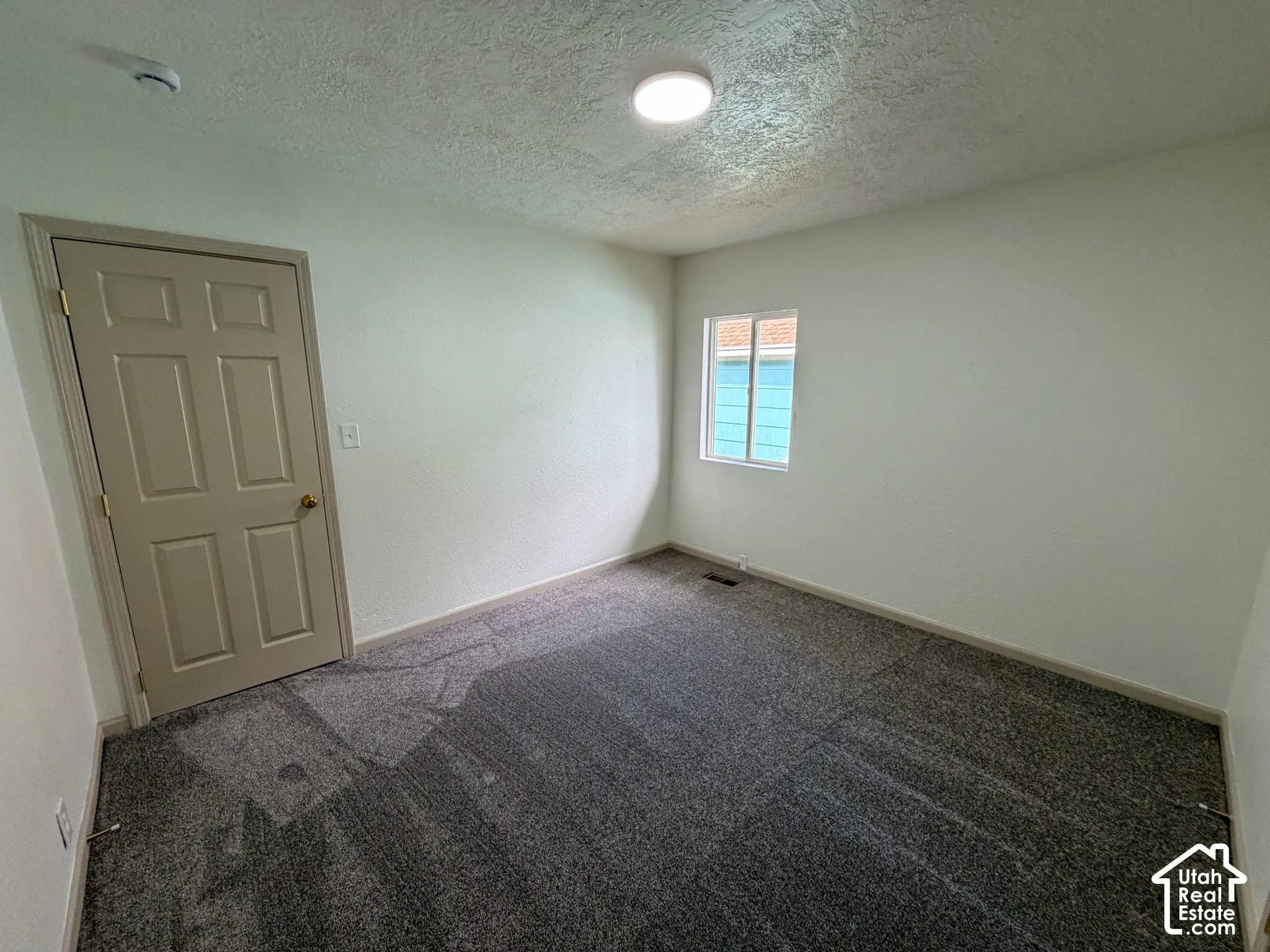 Neutral wall paint, gray patterned carpeting, flush mount ceiling light fixture, and a window with white trim