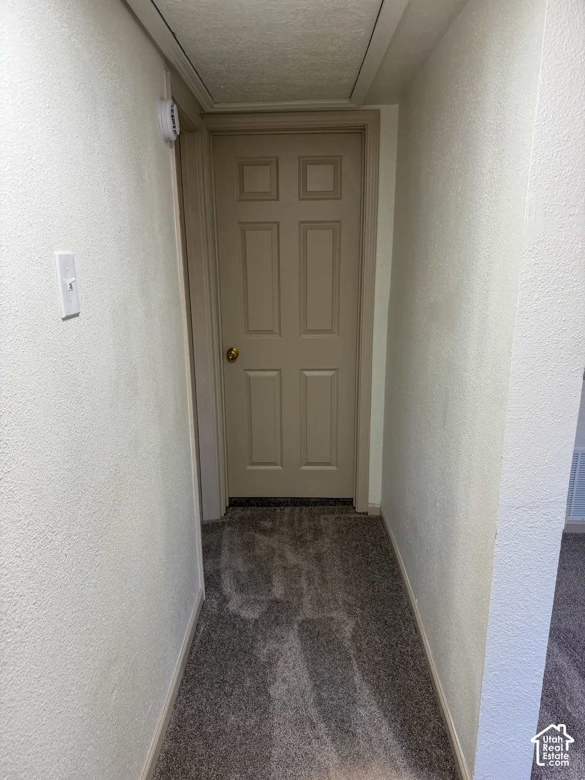 Textured beige walls with a neutral six-panel door, brass-finish doorknob, and grey-toned carpeting