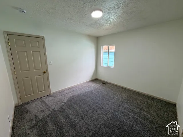 Neutral wall paint, gray patterned carpeting, flush mount ceiling light fixture, and a window with white trim