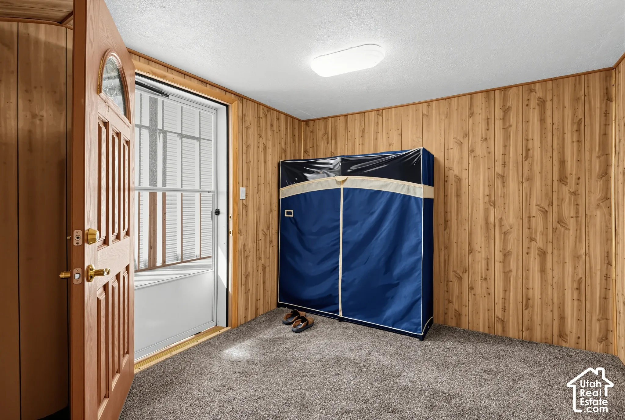 Wood paneling, carpeted flooring, flush mount lighting, and a wood-grain entry door with an arched window