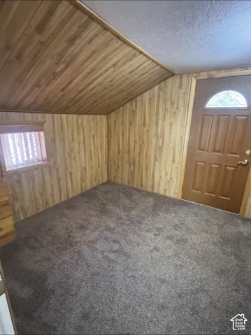 Wood-finish paneling on walls and ceiling, textured carpet flooring, and a door with a decorative glass insert