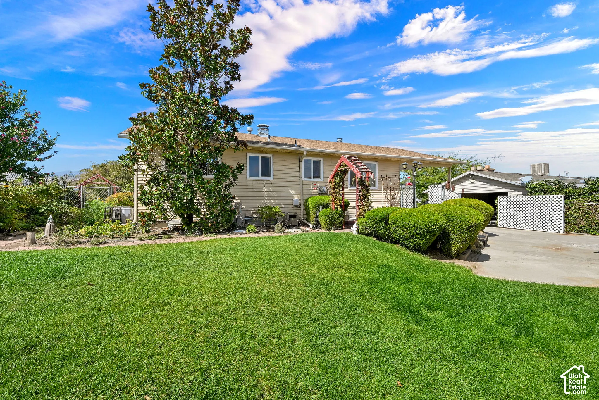 Expansive green lawn and a rare for Utah magnolia Tree