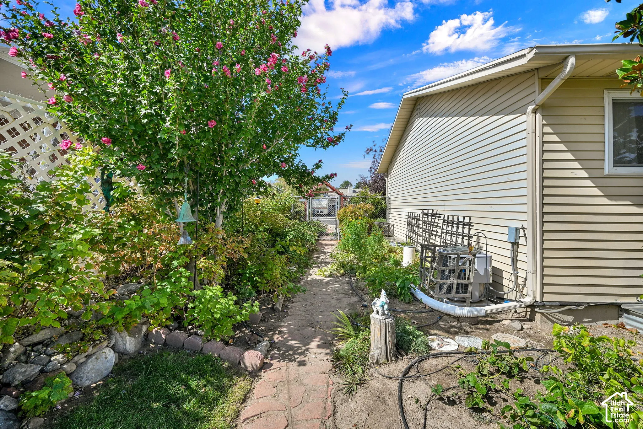 Side yard with a brick pathway bordered by diverse garden plants, raspberries bushes,  a rose of sharon and full fencing