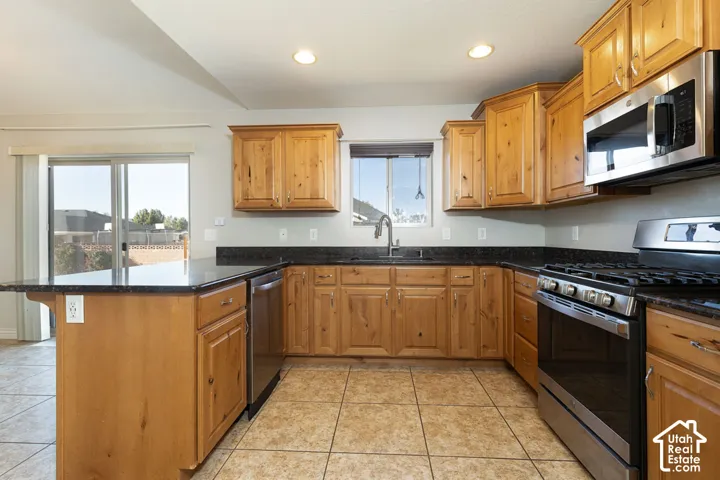 Kitchen featuring wood-finish cabinetry, dark countertops, and stainless steel appliances