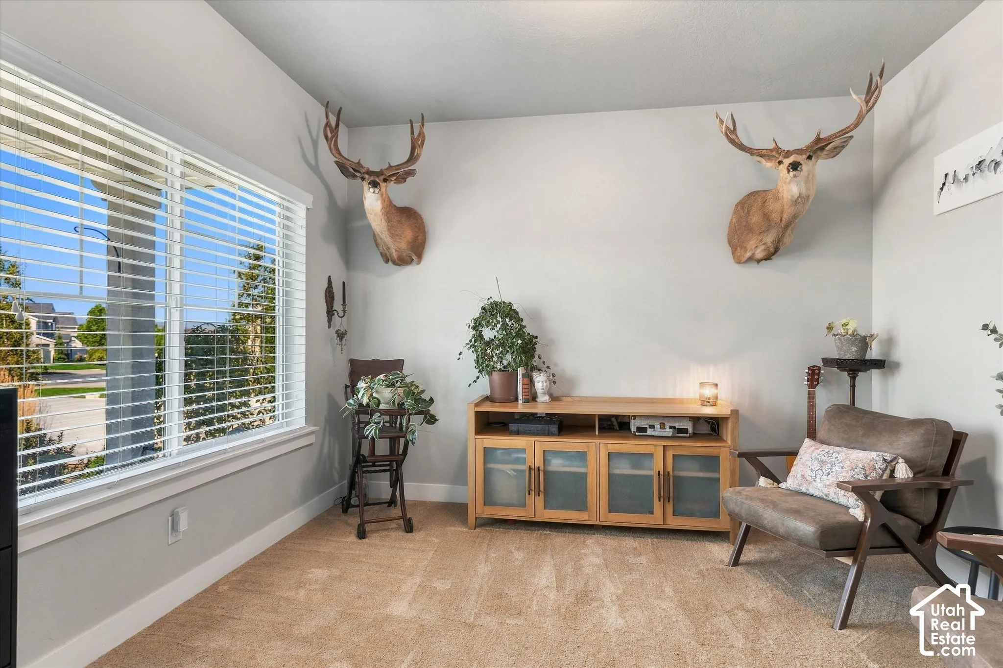 Carpeted flooring, white trim, and a large window with horizontal blinds