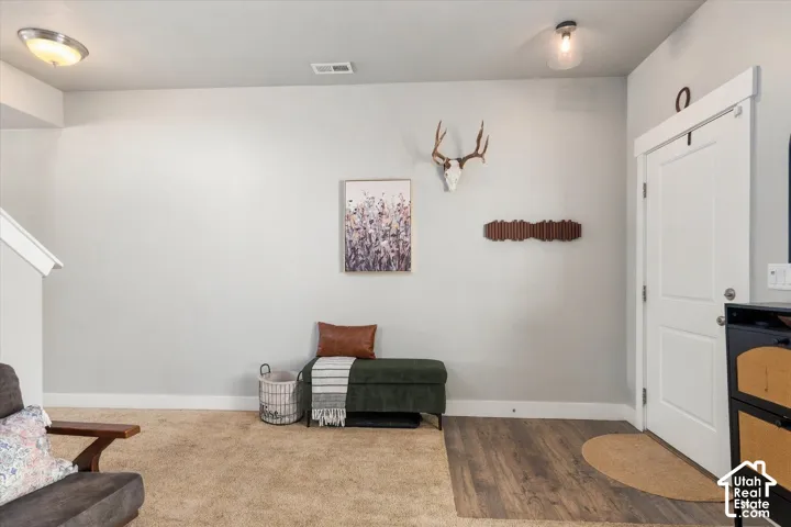 Combined flooring with wood-finish planks and carpet