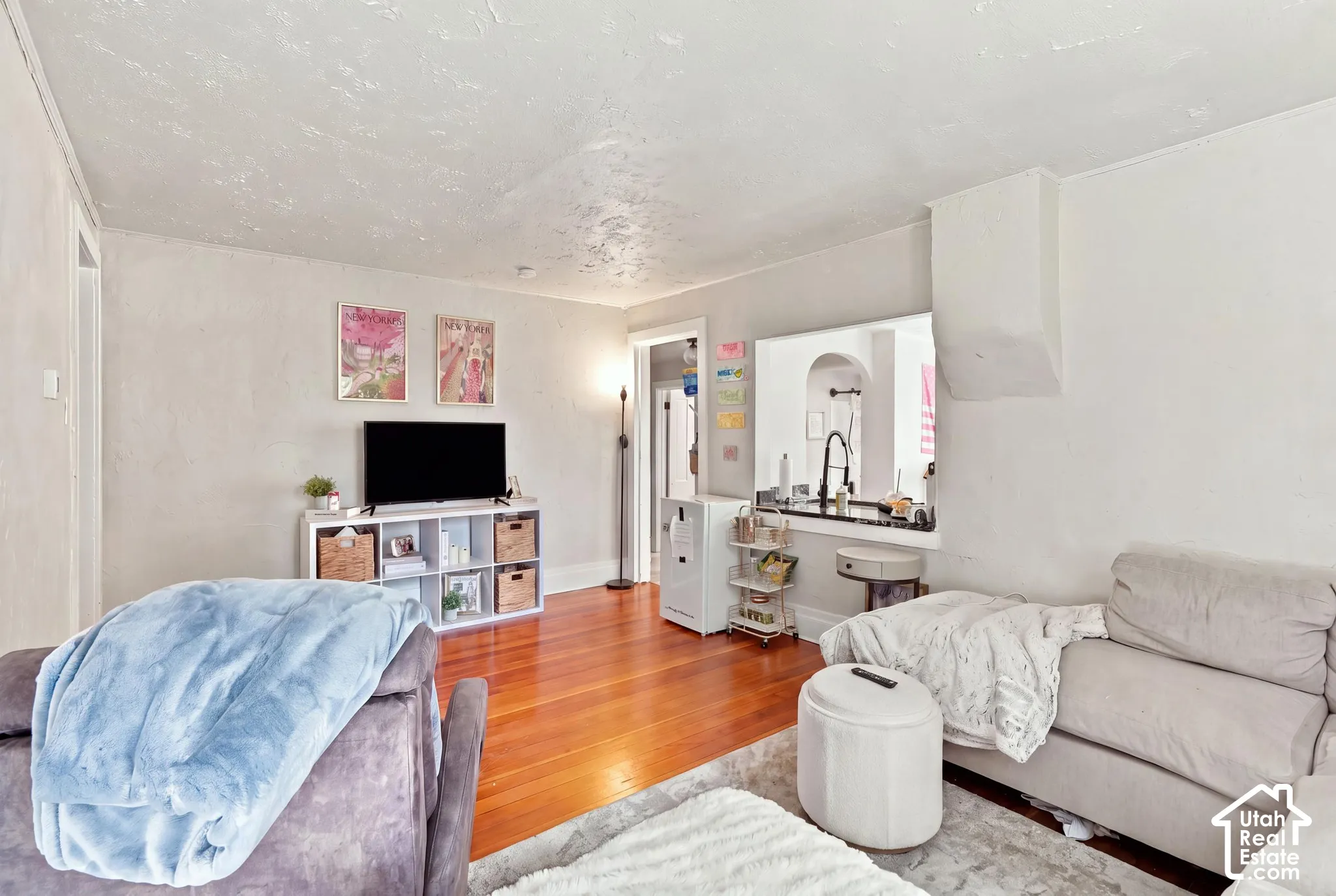Single Family Home - Living Room