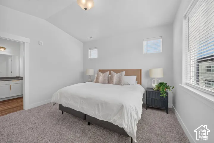 Carpeted room with multiple windows, an overhead light fixture, and an attached bathroom featuring wood-finish flooring and a vanity with a dark countertop