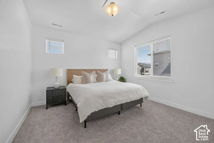 Vaulted ceiling with a flush-mount light fixture, two windows with blinds, and neutral carpeting