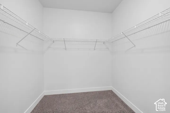 Walk-in closet featuring wire shelving and textile flooring