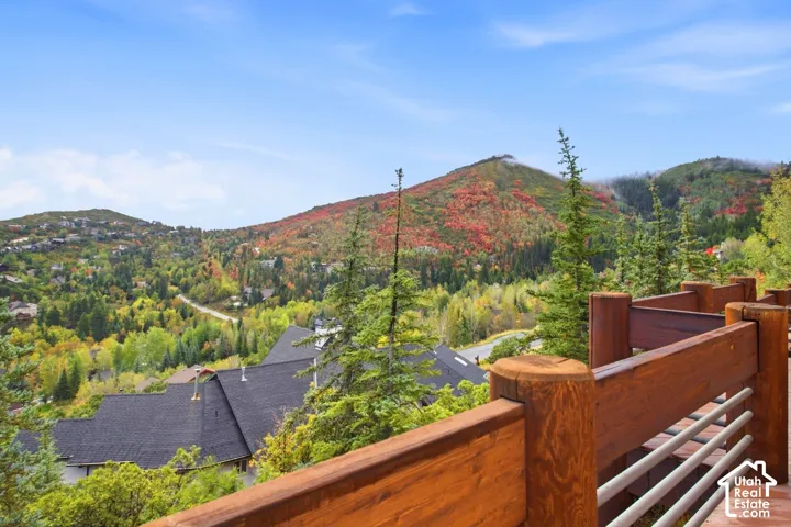 Expansive mountain scenery with diverse tree coverage
