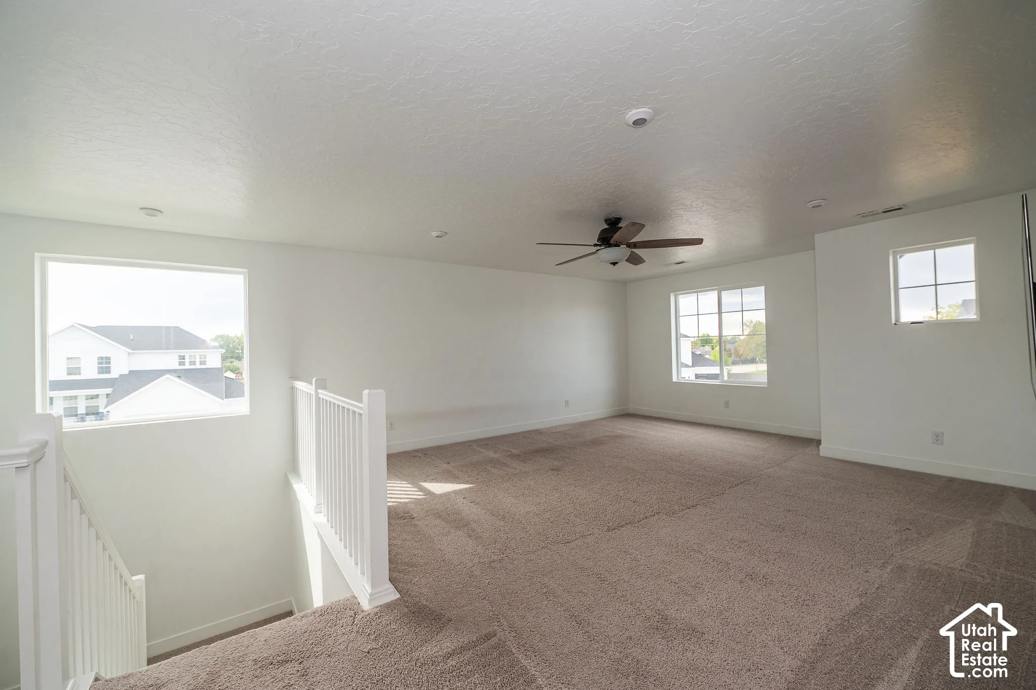 Spacious room with plush carpet, a ceiling fan, and multiple windows providing natural light
