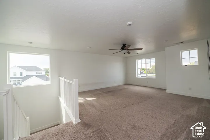 Spacious room with plush carpet, a ceiling fan, and multiple windows providing natural light