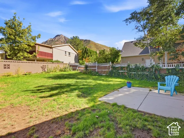 4687 back yard
