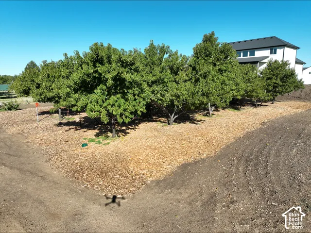 2114 W 800 N, Clinton, Utah 84015