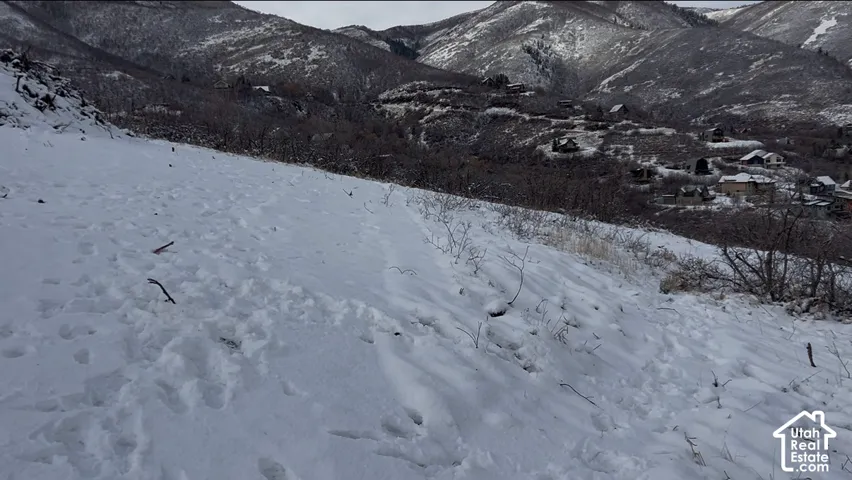 Snow-covered mountain slope featuring distant residential structures