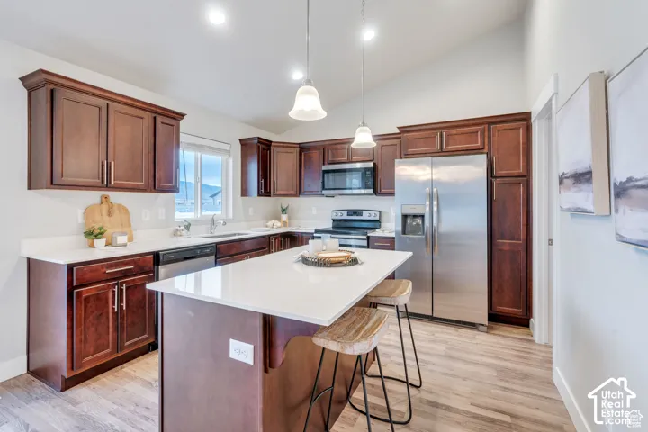 Kitchen featuring wood-finish flooring, dark wood cabinetry, stainless steel appliances, white countertops, and a central island with pendant lighting