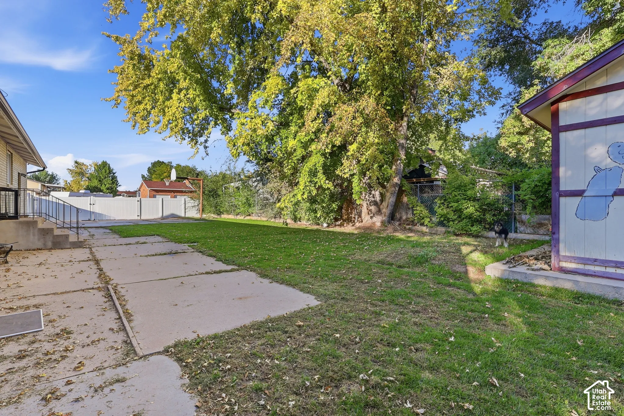 Expansive backyard featuring a manicured lawn, concrete patio, mature trees, and a white privacy fence