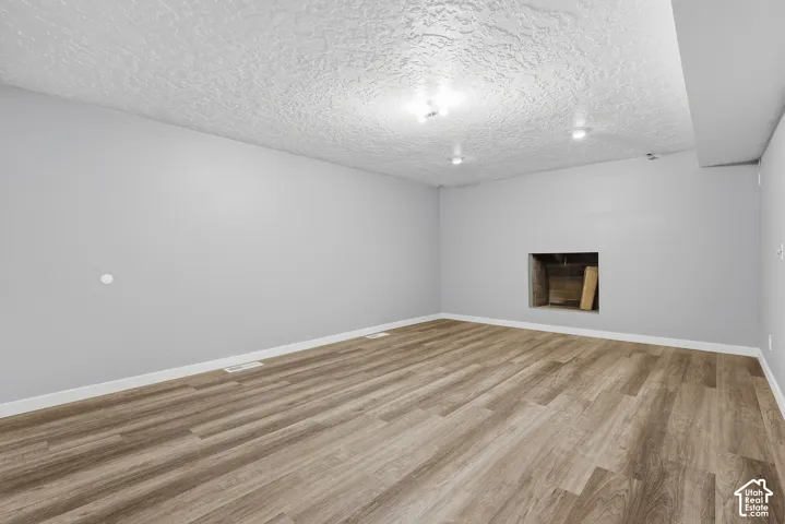Basement family room / den