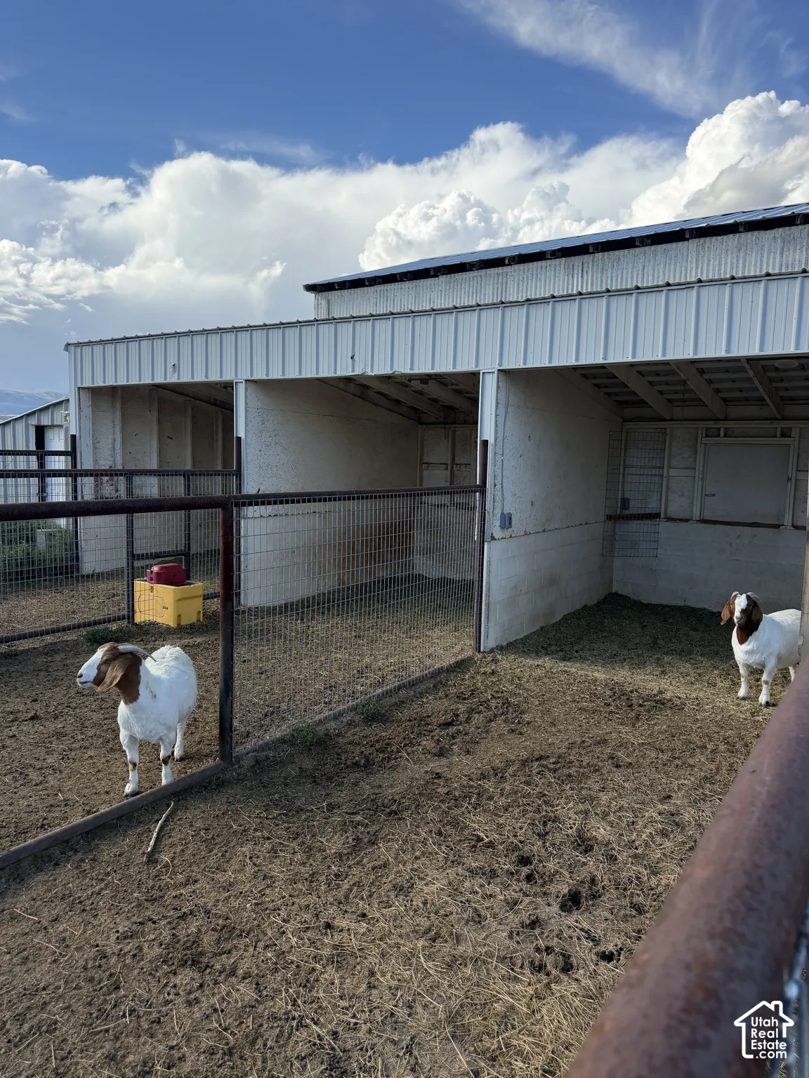 Metal-sided barn structure featuring multiple enclosed stalls, an open-air enclosure, and a fenced area