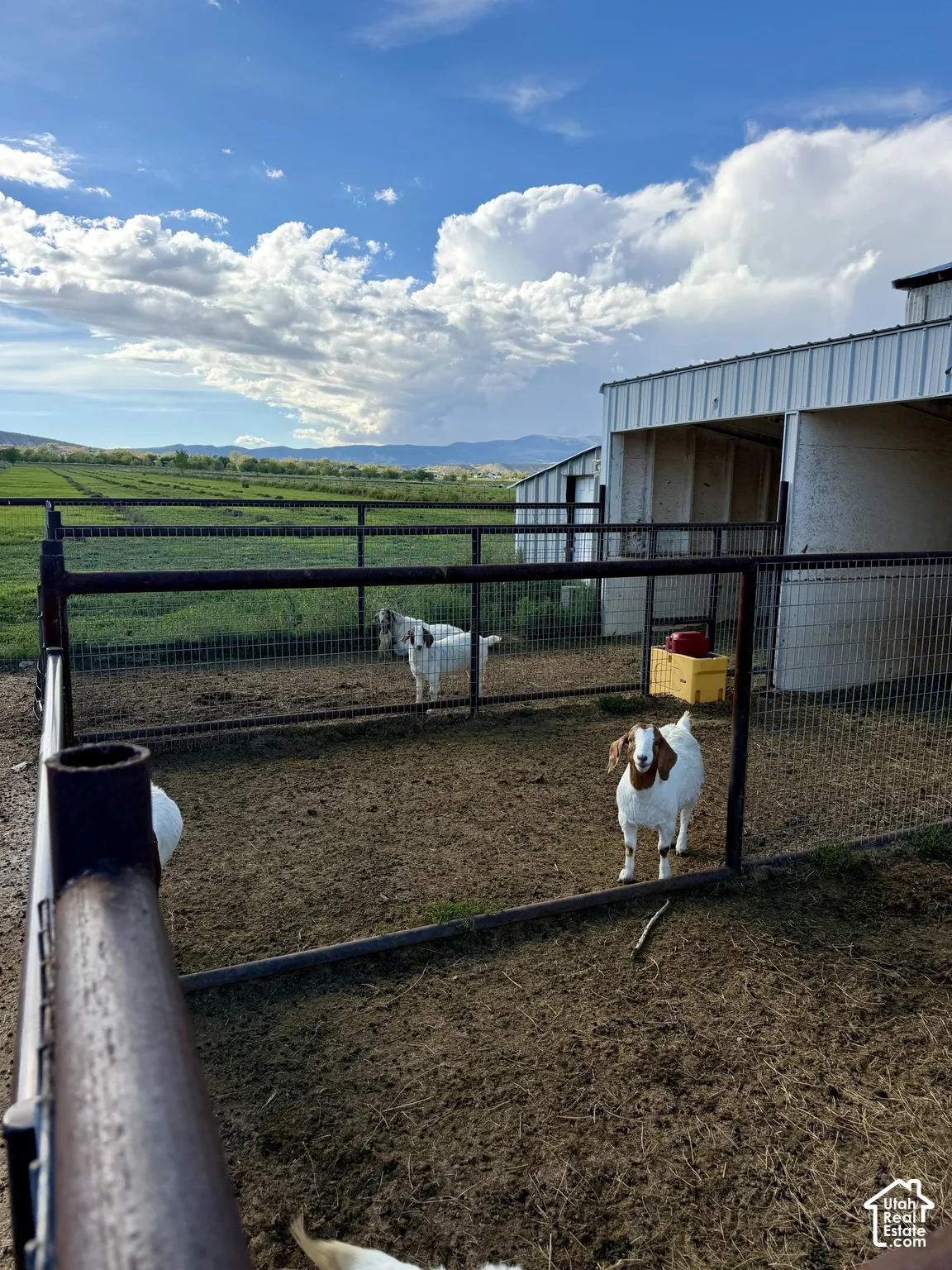 Corrugated metal barn structure with multiple open stalls, fenced enclosures, and expansive green fields