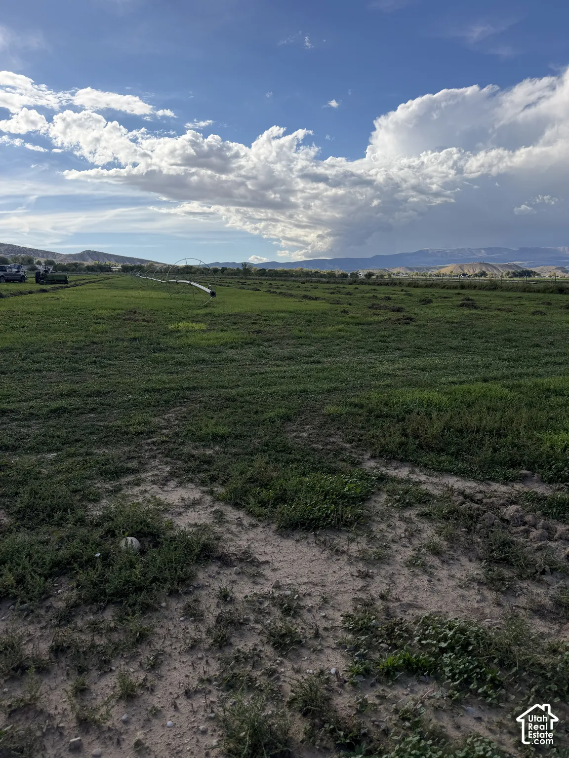 Expansive green field with distant mountains and a blue sky with clouds