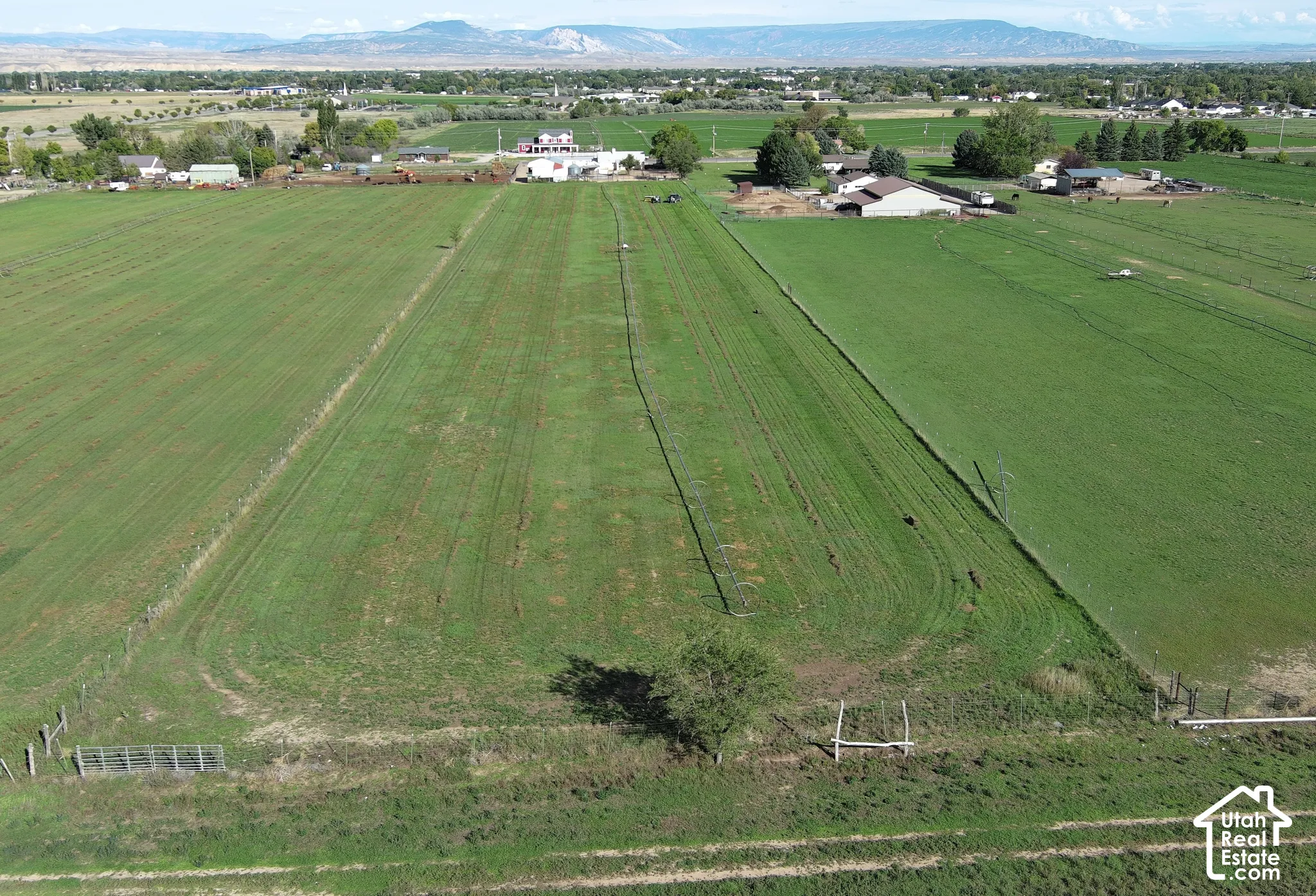 Expansive green fields with distant mountain backdrop