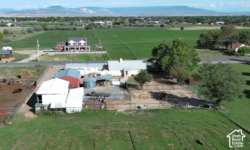 Expansive property featuring multiple outbuildings, fenced enclosures, and mature trees