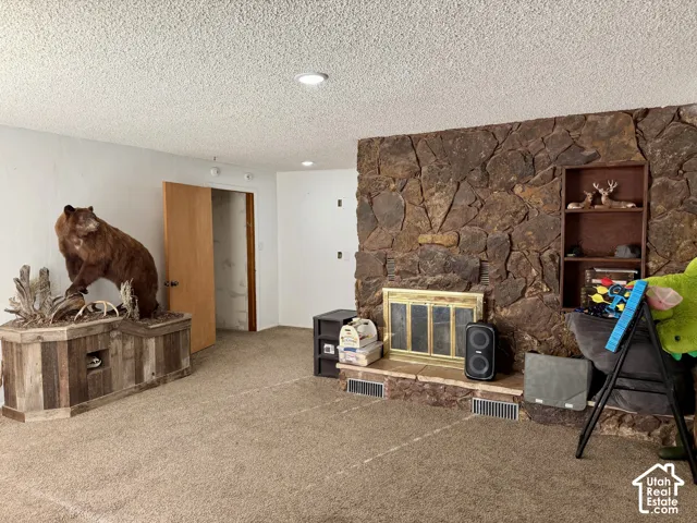 Stone-faced fireplace with a brass-finish insert and built-in shelving