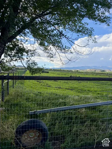 Expansive green fields, mature tree foliage, and distant mountain scenery