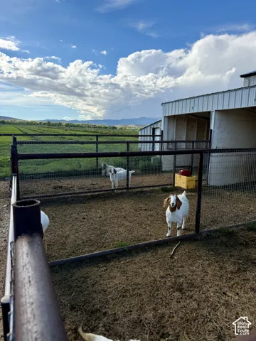Corrugated metal barn structure with multiple open stalls, fenced enclosures, and expansive green fields