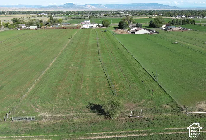 Expansive green fields with distant mountain backdrop